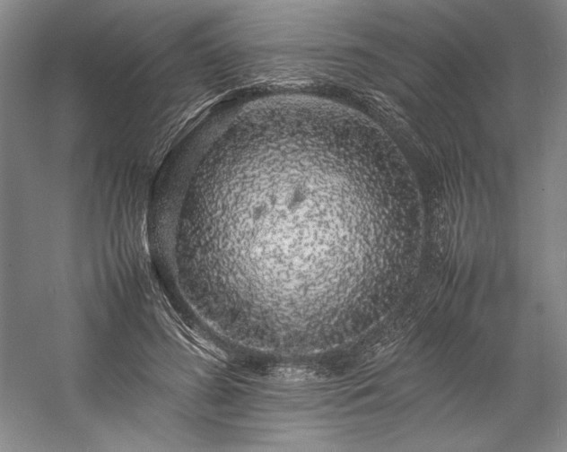 X0000057100596200509091205