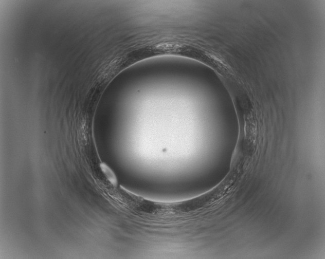 X0000057100597200509091205