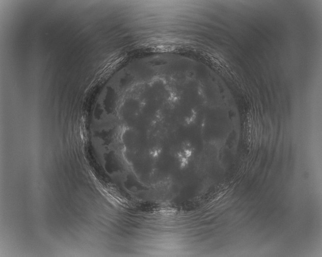 X0000057100598200509091205