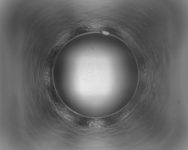 X0000057100599200509091205