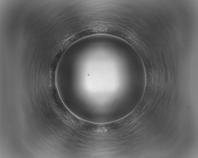 X0000057100600200509091205