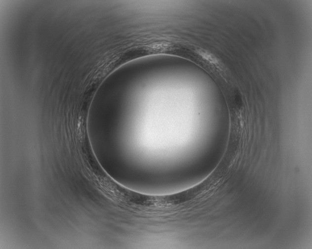 X0000057100601200509091205