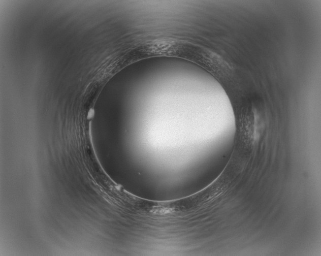 X0000057100602200509091205