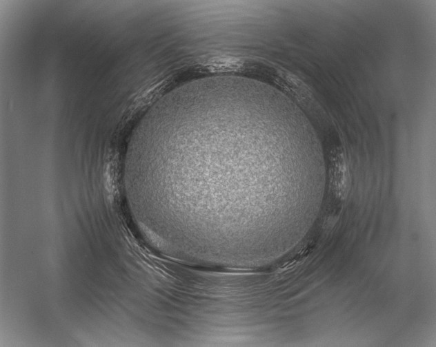 X0000057100604200509091205