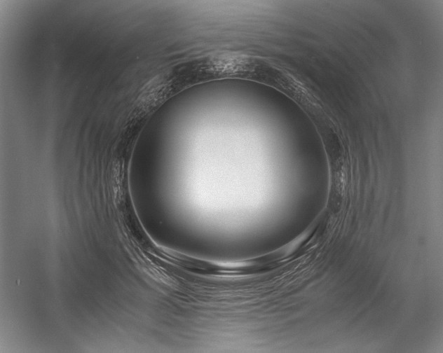 X0000057100605200509091205