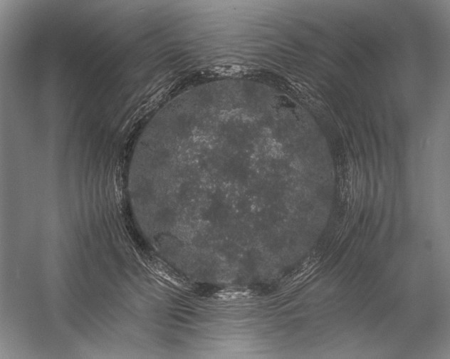 X0000057100606200509091205