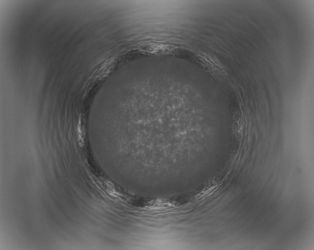 X0000057100607200509091205