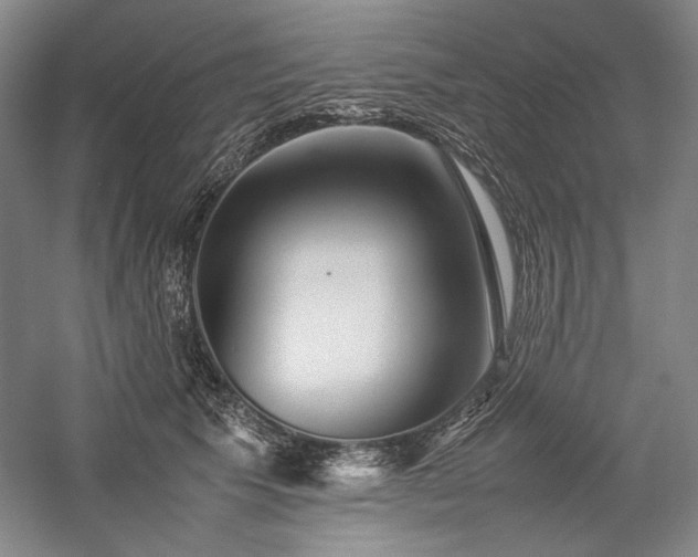 X0000057100609200509091205