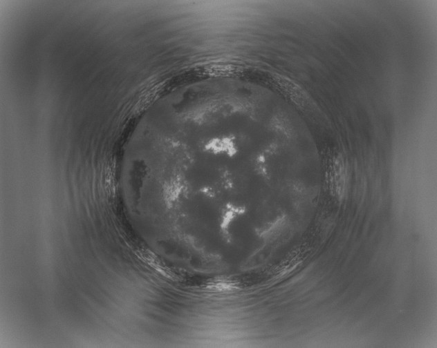 X0000057100610200509091205