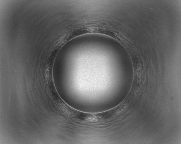 X0000057100611200509091205