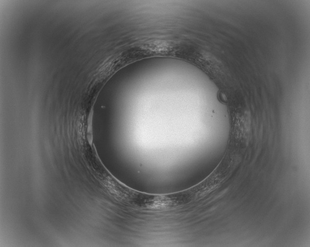 X0000057100612200509091205