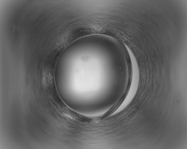 X0000057100613200509091205