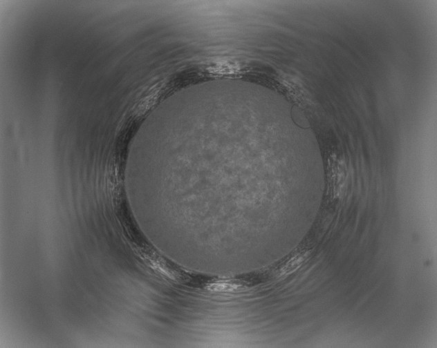 X0000057100614200509091205