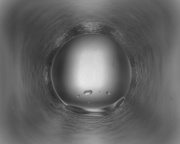 X0000057100615200509091205