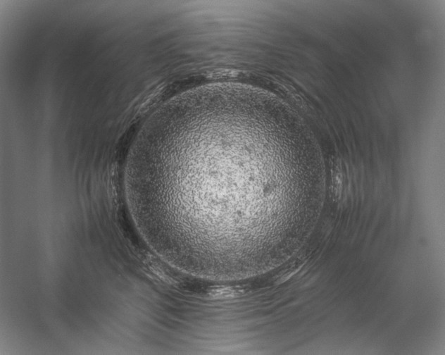 X0000057100616200509091205