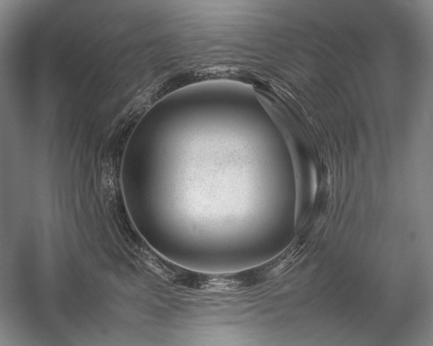 X0000057100617200509091205