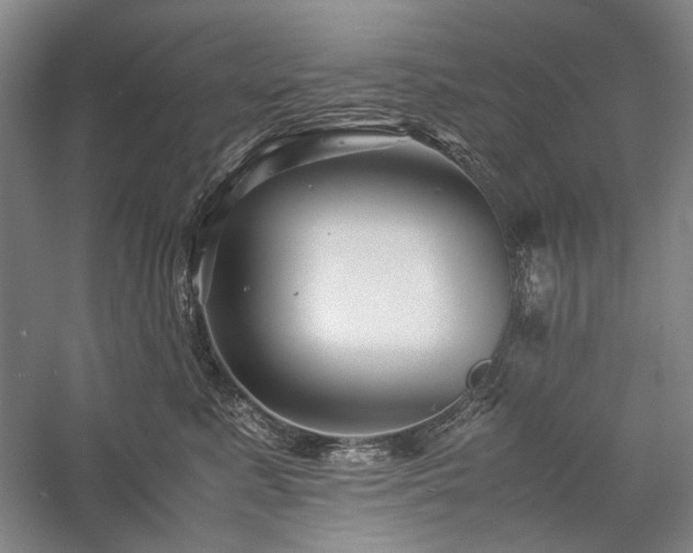 X0000057100619200509091205