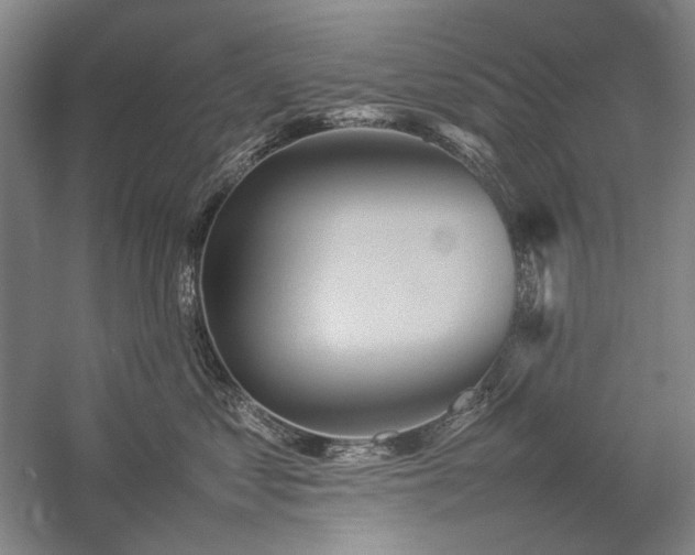 X0000057100621200509091205