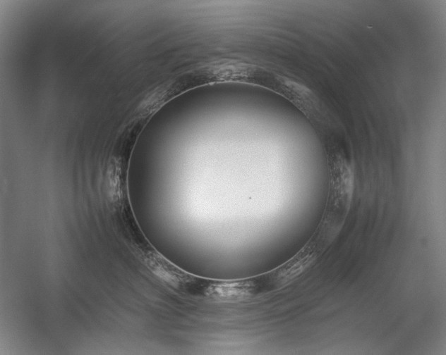 X0000057100622200509091205