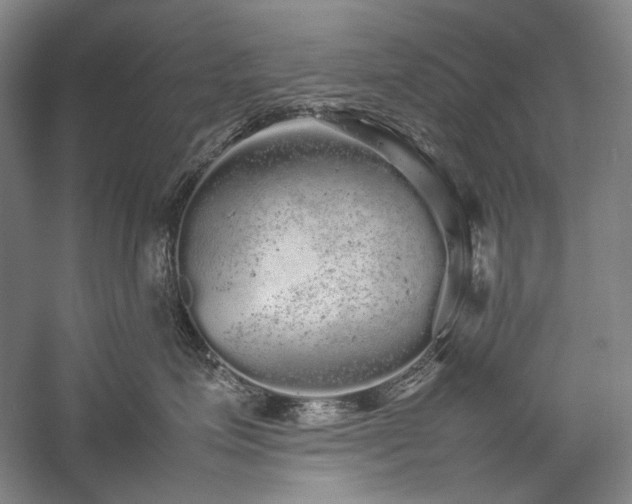 X0000057100623200509091205