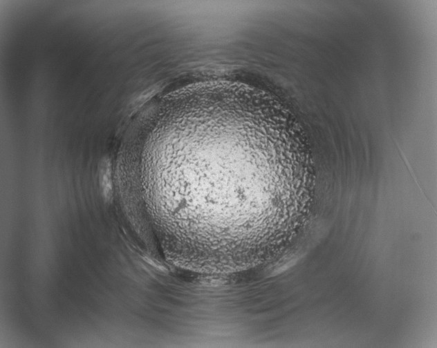 X0000057100624200509091205