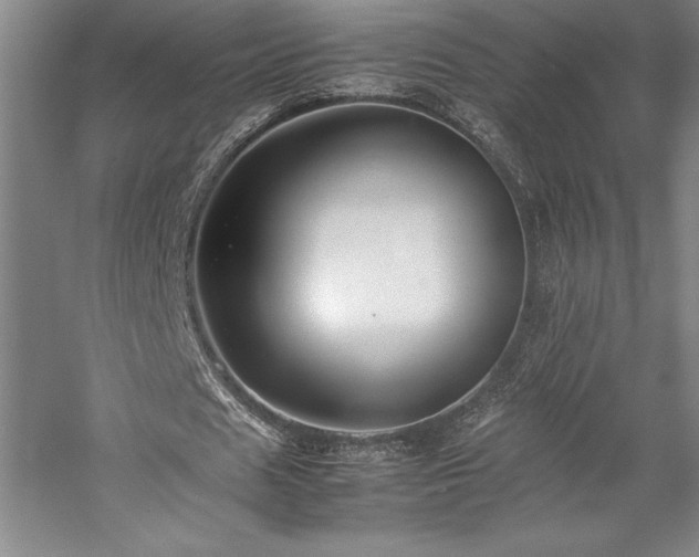 X0000057100625200509091204