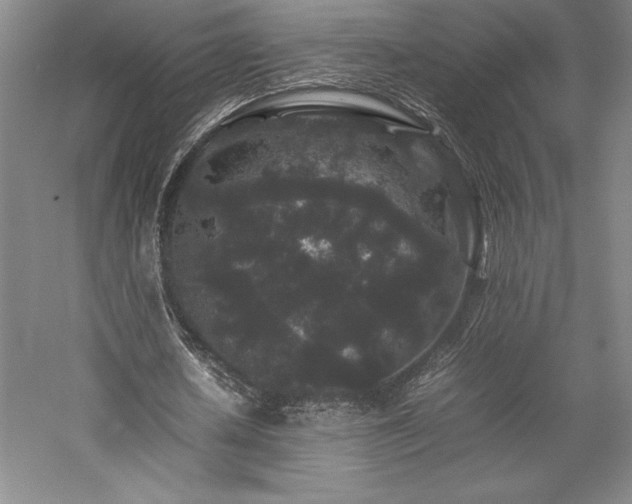 X0000057100626200509091204