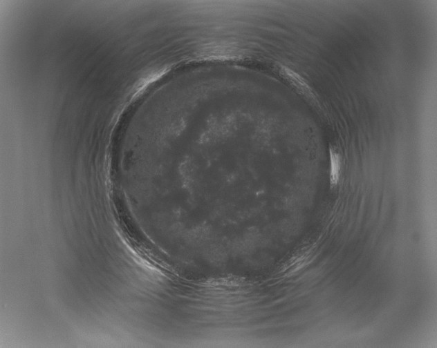 X0000057100627200509091204