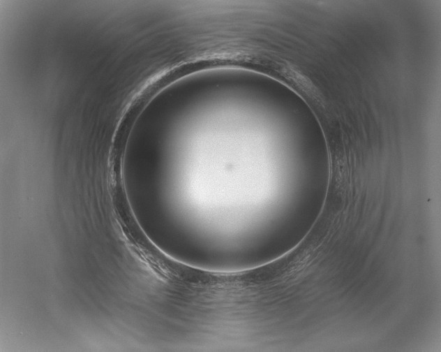 X0000057100628200509091204