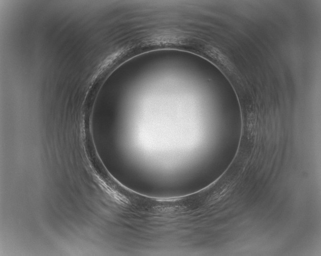 X0000057100629200509091204