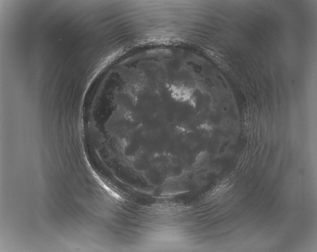 X0000057100630200509091204