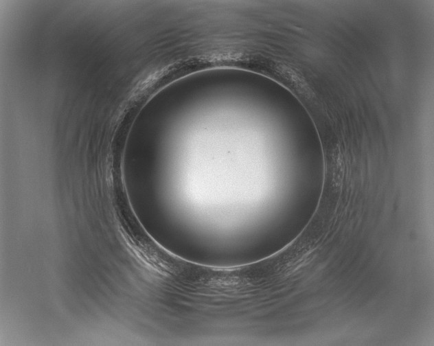 X0000057100631200509091204