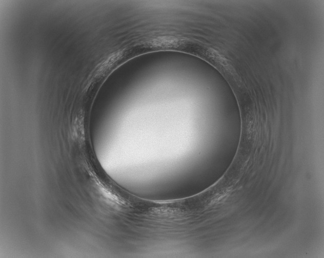 X0000057100633200509091204