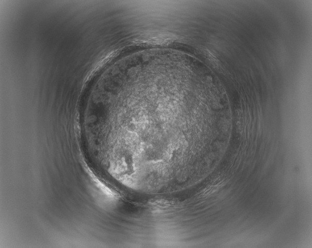 X0000057100634200509091204