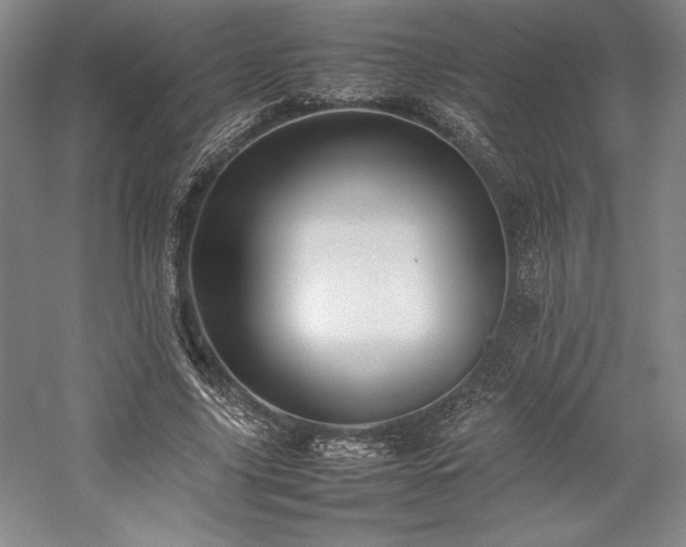 X0000057100635200509091204