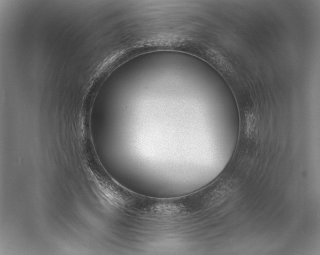 X0000057100636200509091204