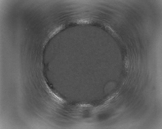 X0000057100637200509091204