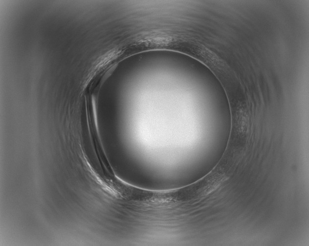 X0000057100638200509091204