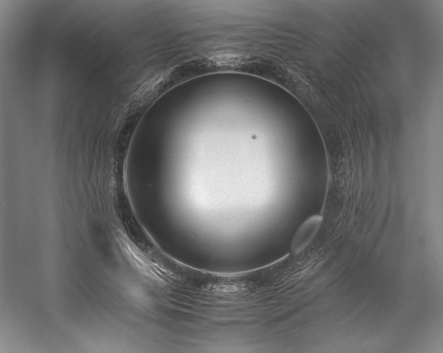 X0000057100639200509091204