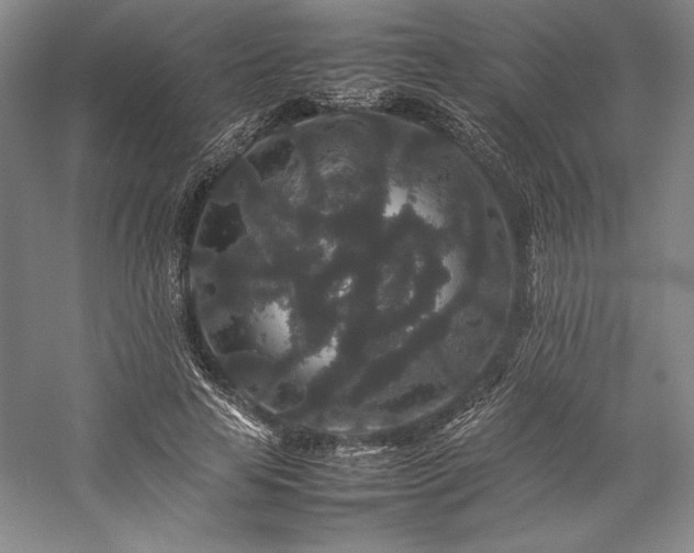 X0000057100641200509091204