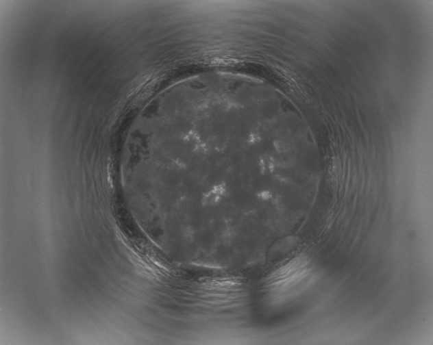 X0000057100643200509091204