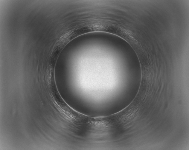 X0000057100645200509091205