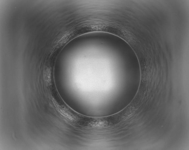 X0000057100646200509091205