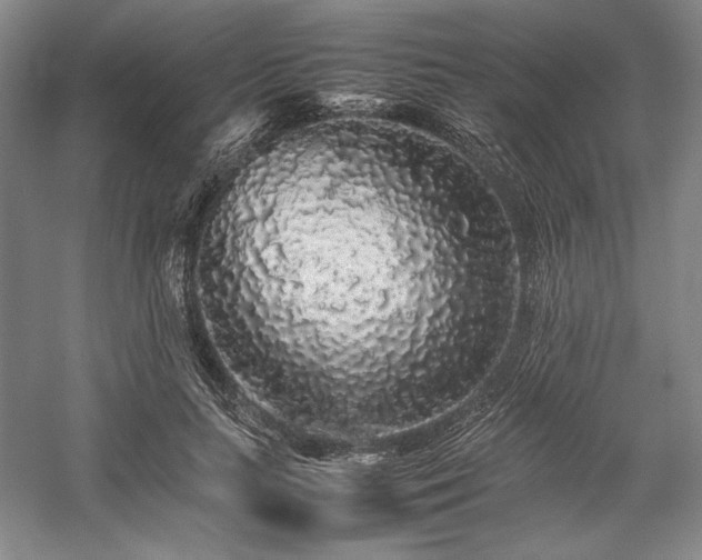 X0000057100647200509091205