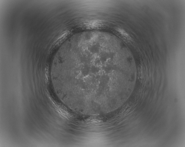 X0000057100648200509091205