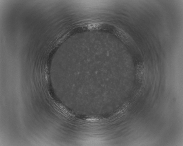 X0000057100650200509091205