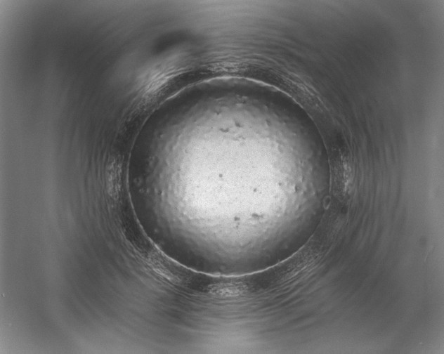 X0000057100652200509091205