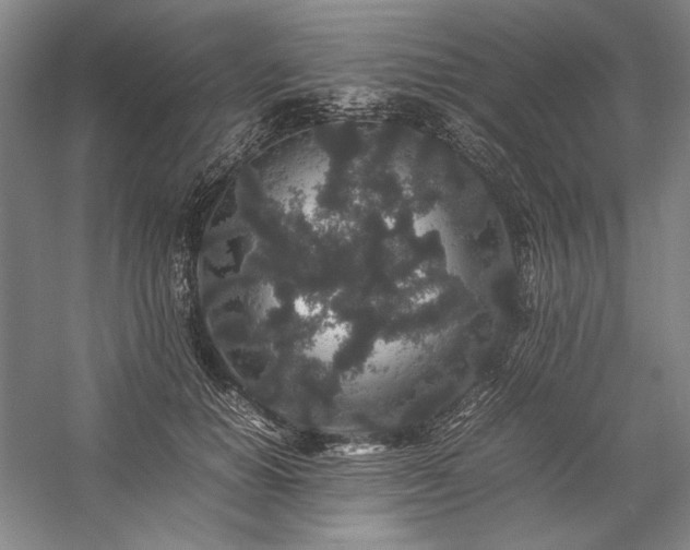 X0000057100654200509091205