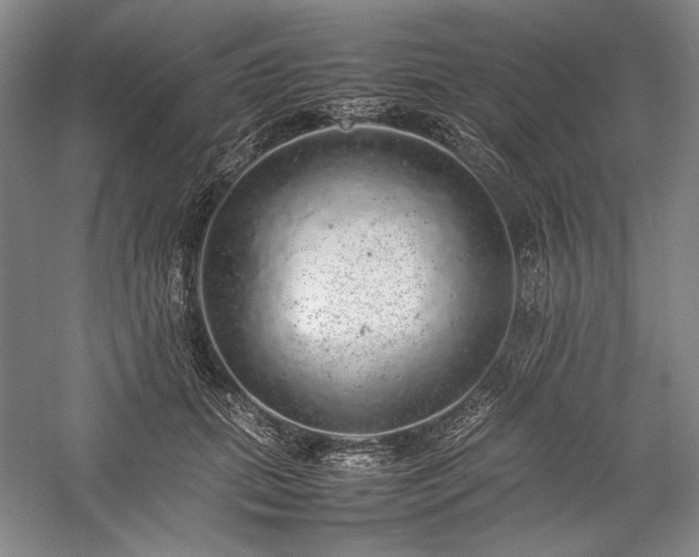 X0000057100655200509091205