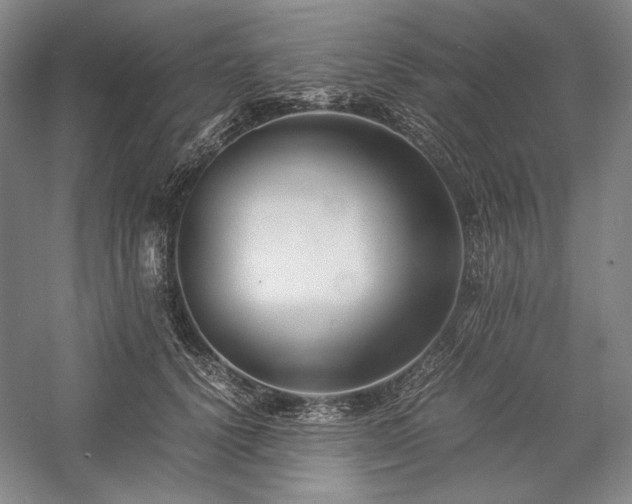 X0000057100656200509091205